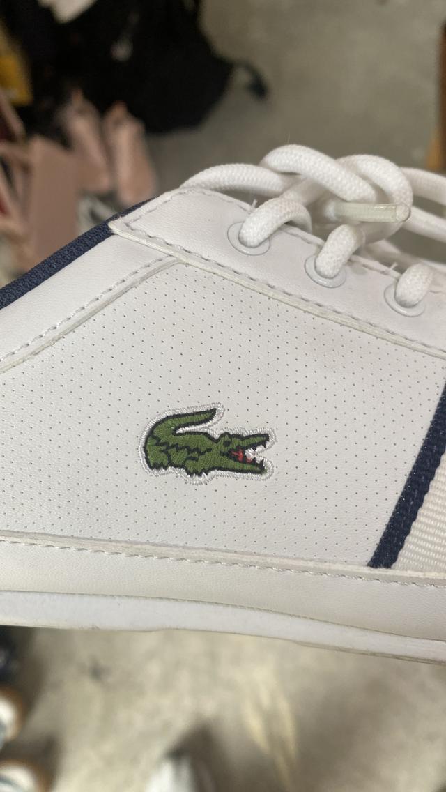 Lacoste Youth MISANO 116 Sneakers in Navy