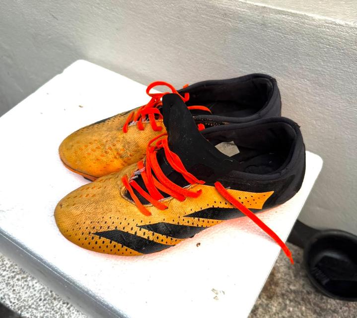 รองเท้า adidas สภาพนางฟ้า