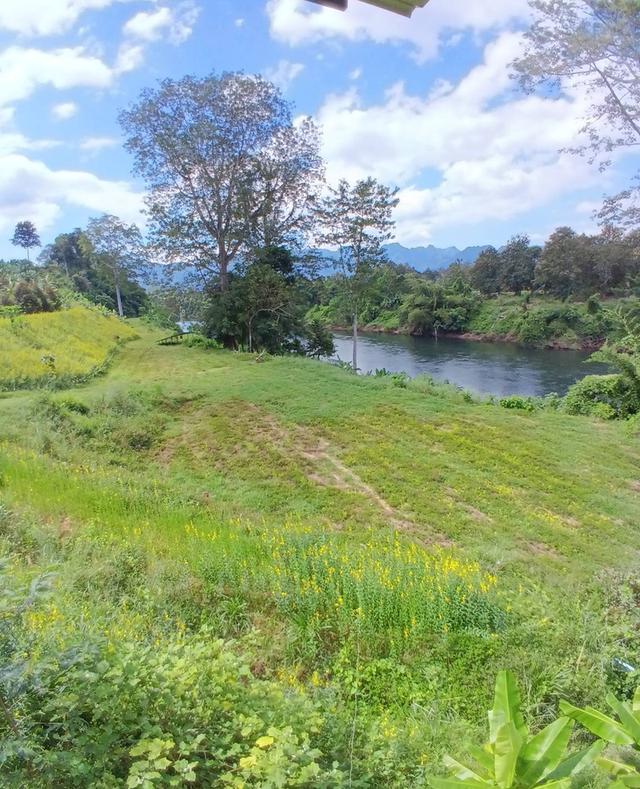 ที่ิดินพร้อมสวนทุเรียน จ.กาญจนบุรี อ.ทองผาภูมิ 13