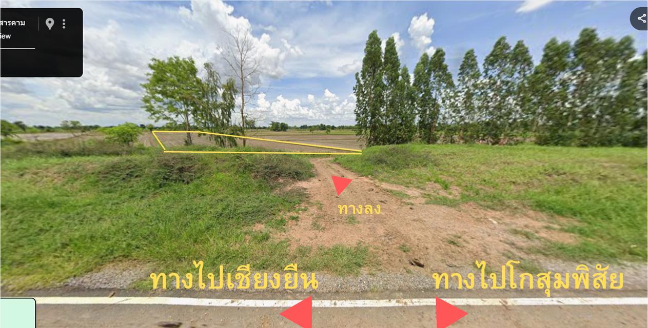 ขายที่ดินมหาสารคาม โกสุมพิสัย 3