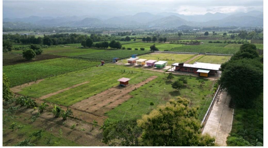 ที่ดินสวย หัวมุมถนน  วิวเทือกเขาล้อม 360 องศา  วิวธรรมชาติสุดๆ  นกเยอะ  อากาศบริสุทธิ์ 2