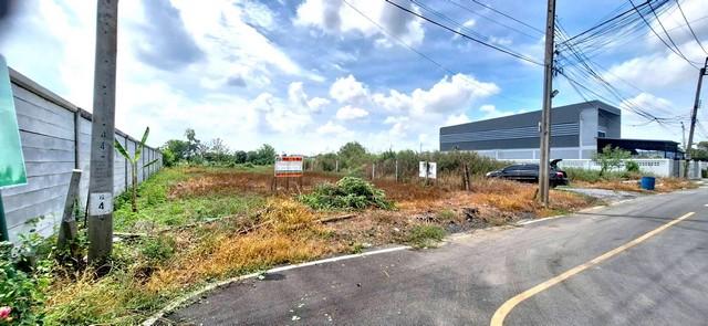 ที่ดินเปล่า 110 ตรว. แปลงมุม ถมแล้ว บางคูวัด บางบัวทอง นนทบุรี 4