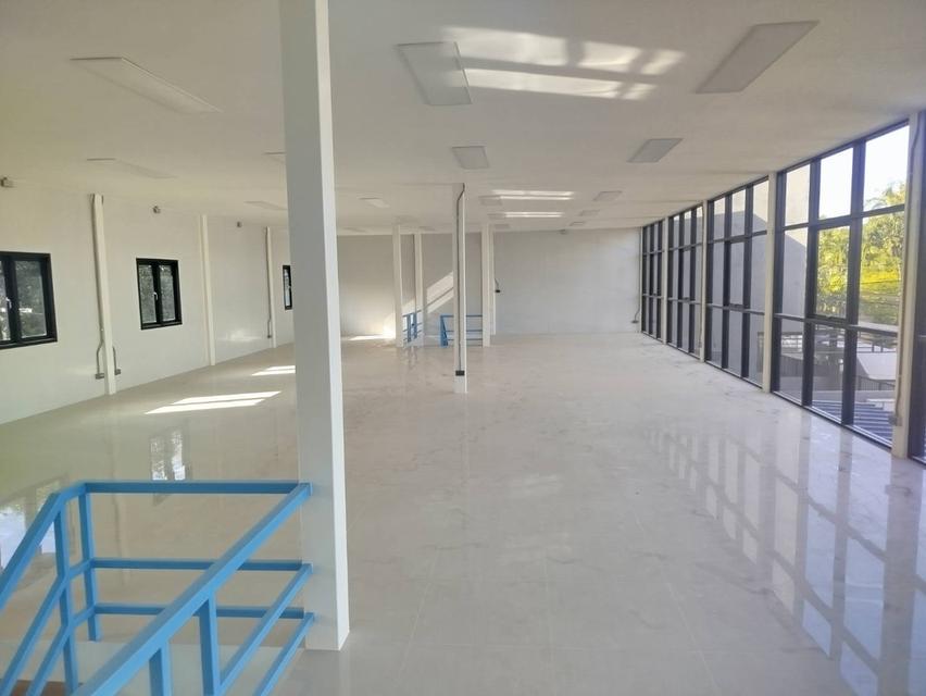 [For Sale & Rent] 2-Storey Office Building with Warehouse, Punnawithi 29 8