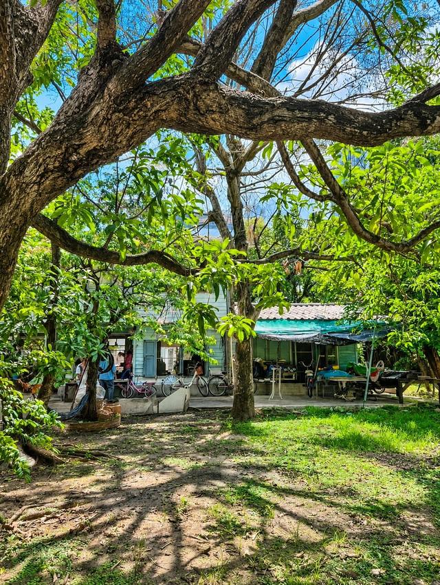 ขายที่ดินลาดพร้าว พร้อมสิ่งปลูกสร้าง 398 ตร.ว. ซอยลาดพร้าว 1 แยก 4-5 ใกล้ Central ลาดพร้าว และ MRT พหลโยธิน 10