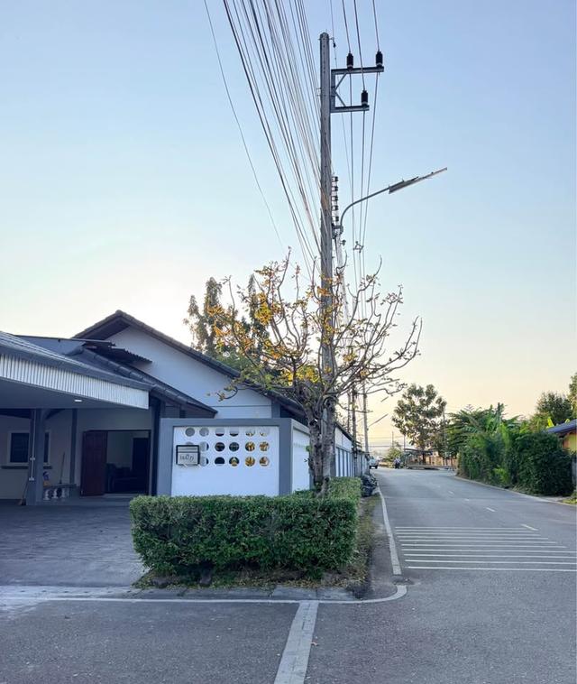 🏡 บ้านเดี่ยวชั้นเดียว [4 นอน 2 น้ำ] ที่จอดรถ 4 คัน! ทำเลใกล้บิ๊กซีหางดง & สนามบินเชียงใหม่ Single-Storey House for Rent [4 Beds 2 Baths] - 4 Parking 1