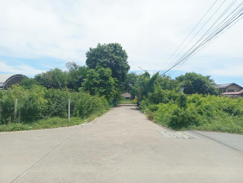ขายที่ดินเปล่า ซอยบุรุษพัฒน์3 (ซอยรามอินทรา65 แยก2-4)