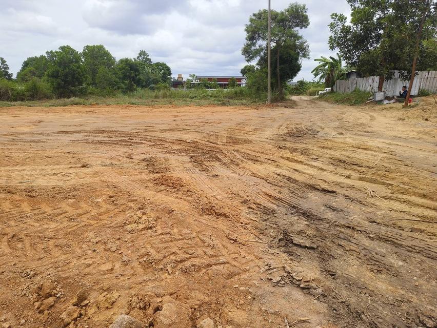 ขายที่บ่อวิน205ตรว.ใกล้อีสเทิร์นซีบอร์ด 2