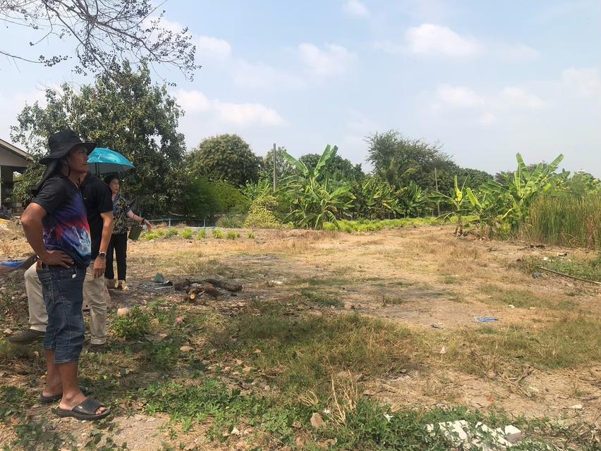 ขายที่ดินสวยรมน้ำคลองบางใหญ่ จังหวัดนนทบุรี  จำนวน 3 ไร่ 19