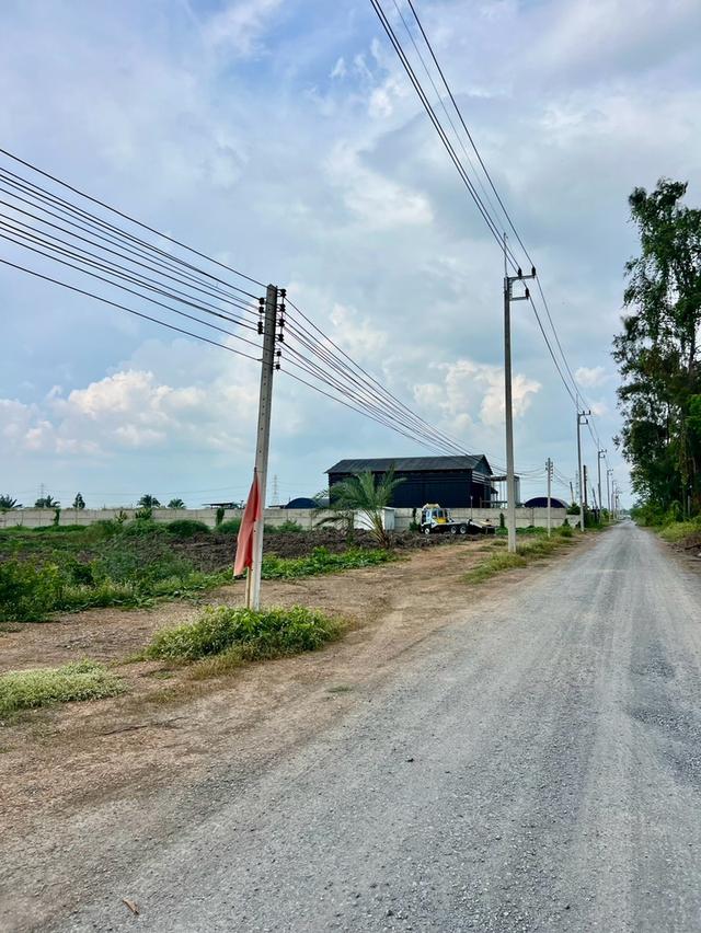 ที่ดินสวยทำเลดี ซ.พนารัตน์ ตำบล บึงบา อำเภอ หนองเสือ ปทุมธานี 13
