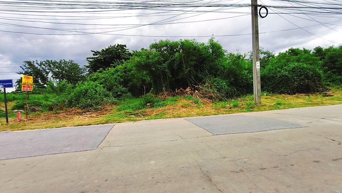 ที่ดิน 280 ตรว. ถมแล้ว แปลงมุม เพชรเกษม81 ซอยมาเจริญ3 5