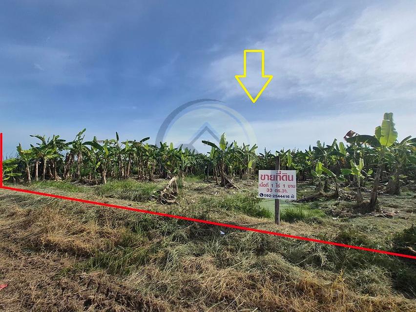 ขาย ที่ดินเปล่า 1-1-33 ไร่ ( 533 ตร.ว. ) ซ.บึงบอน 11 ถ.รังสิต-นครนายก  จ.ปทุมธานี  2