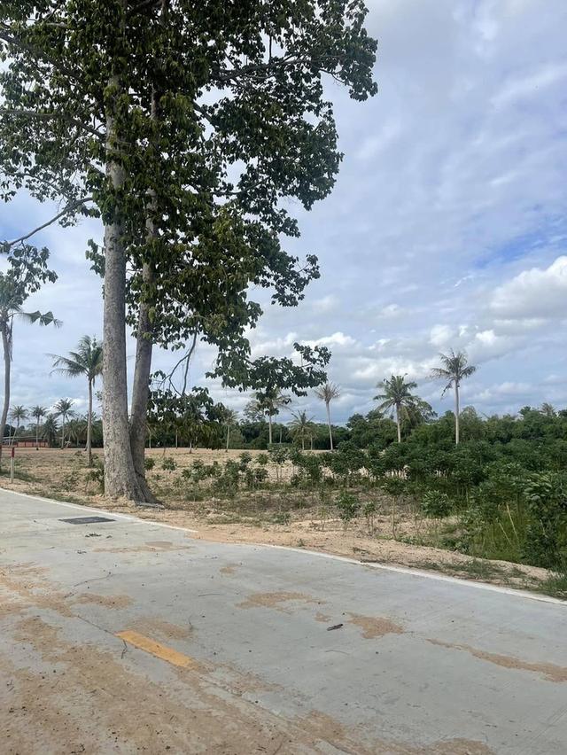 ขายที่ดินหนองมะนาว-หนองสะเดา 8 ไร่ ติดนนคอนกรีต ใกล้ท่าเรือแหลมฉบัง-5กม. บางละมุง ชลบุรี
