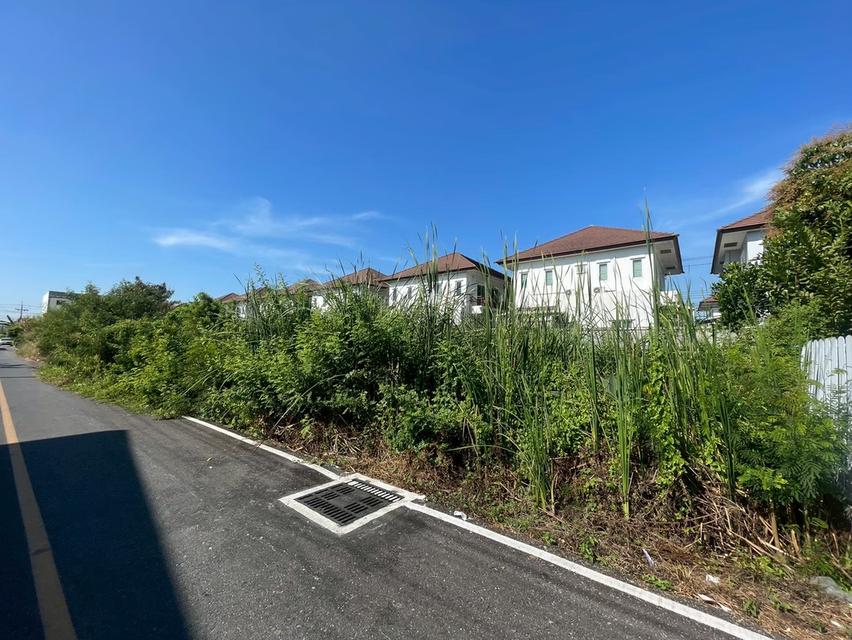 ขายที่ดินซอยอาจารย์ฉลวย 2