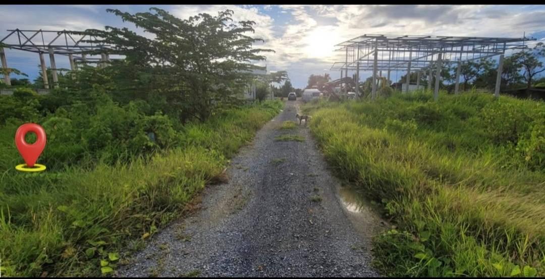 ขายด่วน!! ที่ดิน 1 งาน โฉนดครุฑแดง ทุ่งลูกนก กำแพงแสน นครปฐม 1