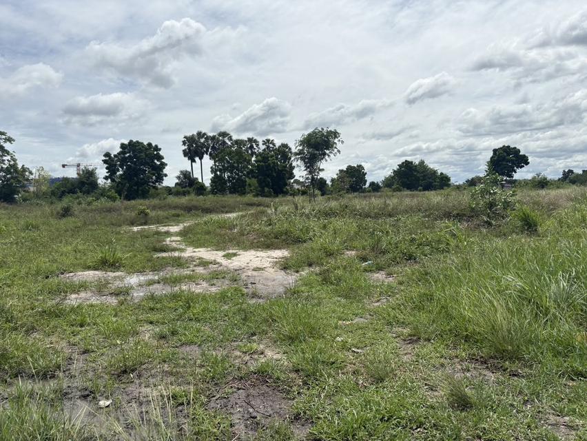 LAND FOR SALE | PHAN THONG, CHONBURI ที่ดินถมแล้วทั้งแปลง 10 ไร่ 77 ตร.ว. | เจ้าของขายเองโดยตรง 9