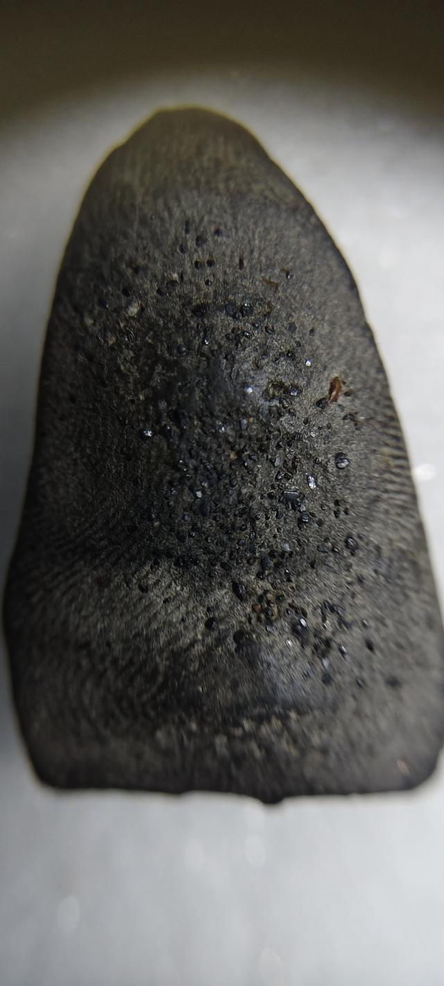 หลวงปู่ทวด พิมพ์ใหญ่ เนื้อว่าน ปี 2497 รูปย่อยที่ 2