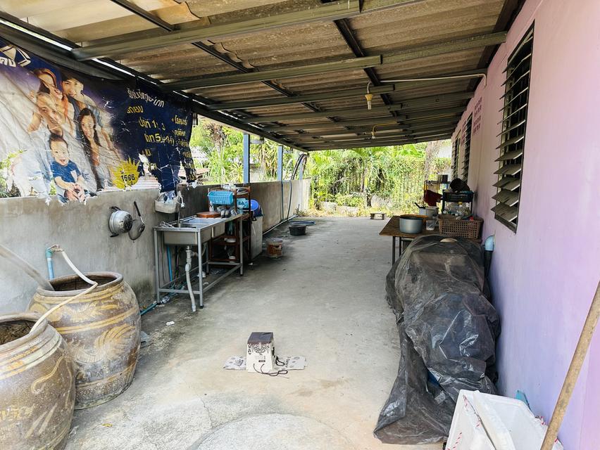 บ้านเดี่ยว 2 ห้องนอน 1 ห้องน้ำ 10