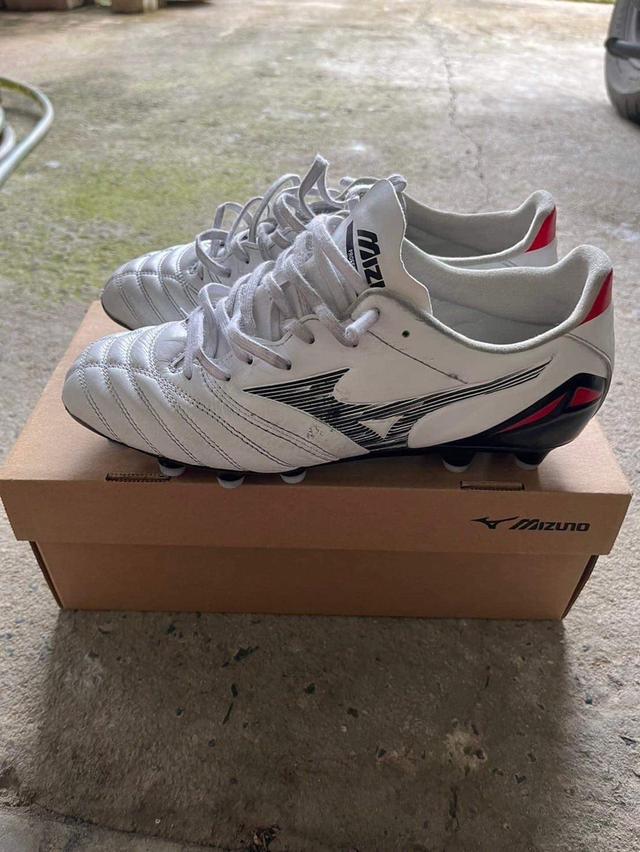 Mizuno  2