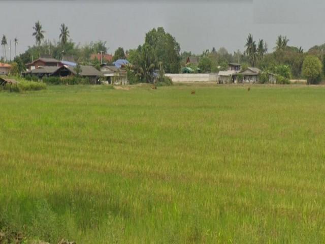 รูป POR3521ขายที่ดิน 40 ไร่ โพธาราม ราชบุรี แหล่งชุมชน ใกล้แยกบางแพ