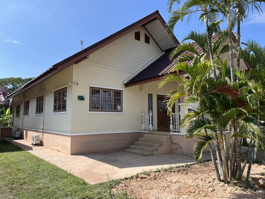 🏡 ให้เช่าบ้านเดี่ยวชั้นเดียว หลังใหญ่ พื้นที่กว้าง ทำเลชุมชนชานเมือง ใกล้ตลาด เข้าเมืองเพียง 10 นาที 10