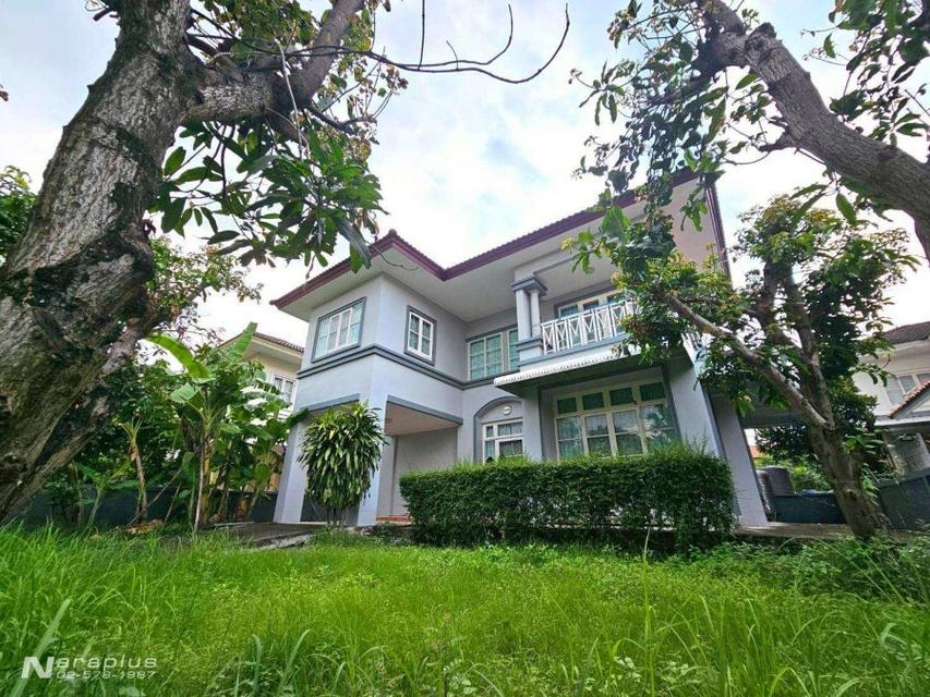 69010036 : ให้เช่าบ้านเดี่ยว 2 ชั้น ที่ดินขนาด 73.2 ตร.ว. หมู่บ้านคุณาลัย- นาวาร่า รังสิต-คลอง 2 บ้านสวย 1