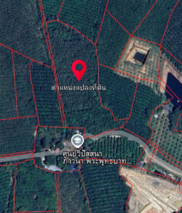 ขายที่ดิน 1