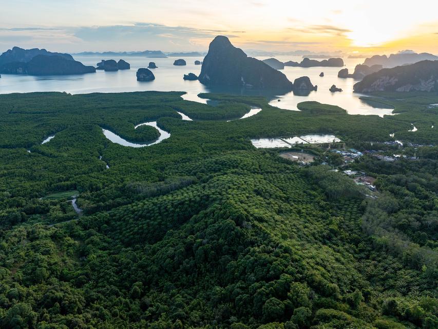 ที่ดินในทำเลที่ดีที่สุดของเสม็ดนางชี 2