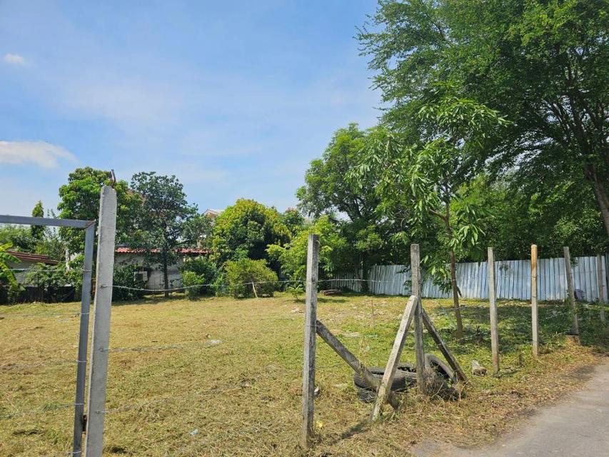 ขายที่ดินแปลงสวย ถมแล้ว ขนาด 196 ตร.วา เข้าซอย หทัยราษฎร์ 23/1 เพียง 500 ม. ใกล้ทางด่วน - ถนนวงแหวน - MRT มีนบุรี