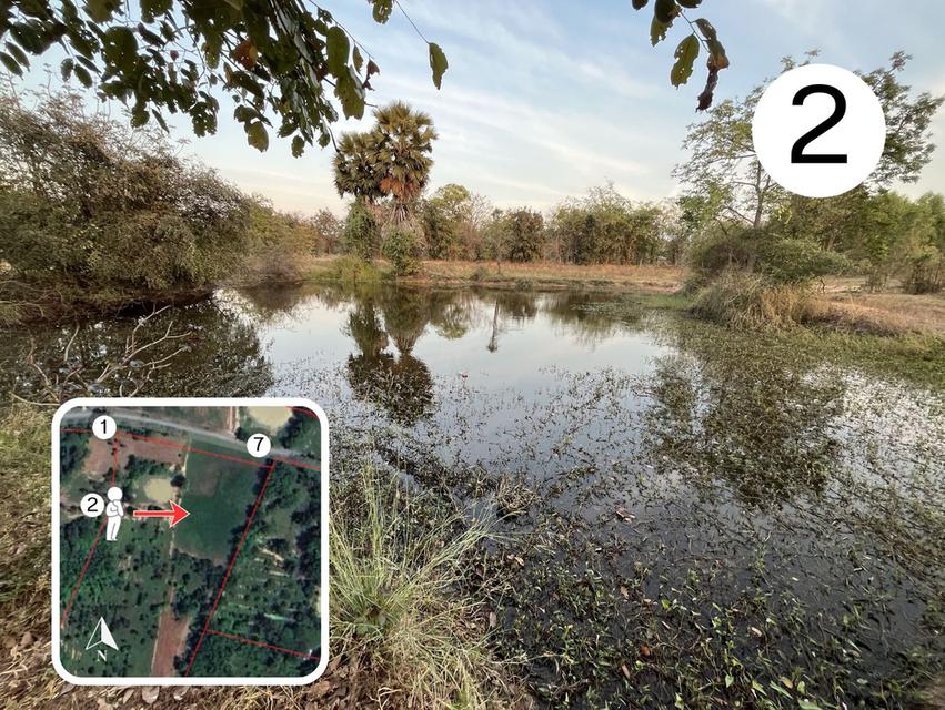 📌 ที่ดิน 26 ไร่ อำเภอดอนเจดีย์ จังหวัดสุพรรณบุรี 5