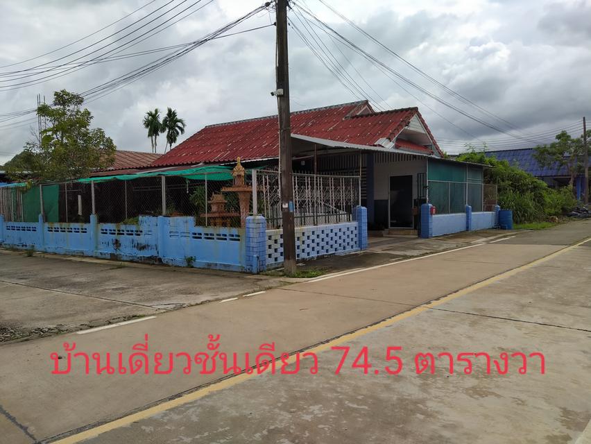 บ้านเดี่ยวชั้นเดียว 75 ตารางวา 1