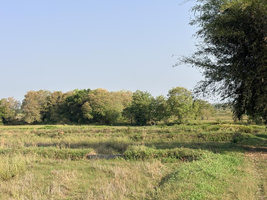 ที่ดิน 13 ไร่ ไร่ละ 200,000 ต่อลองได้ครับ 10