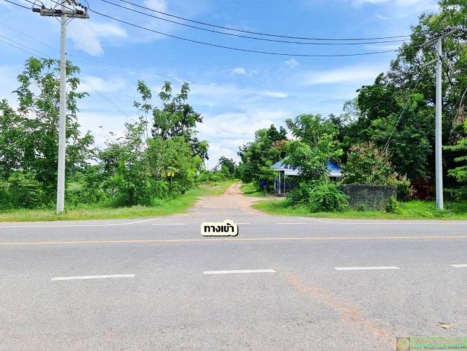 ที่ดินแปลงสวยสำหรับบ้านสวน สไตล์ธรรมชาติ ใกล้บึงน้ำ (มีน้ำตลอดปี) อ.พระยืน จ.ขอนแก่น 4