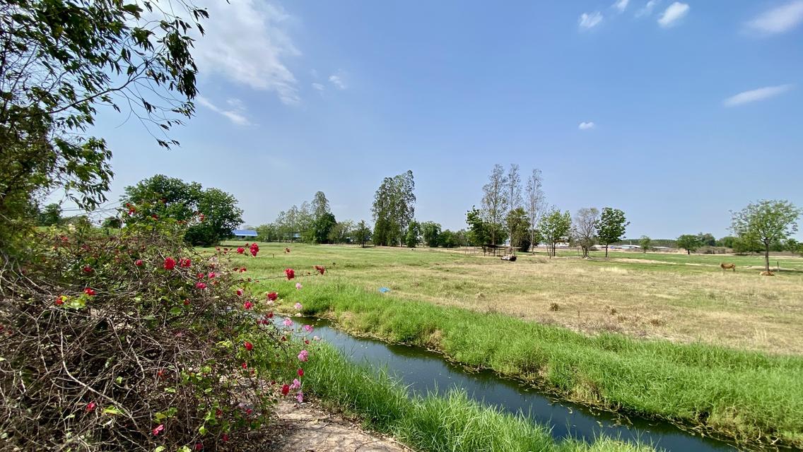 ที่ดินเปล่า จังหวัดกาญจนบุรี 5