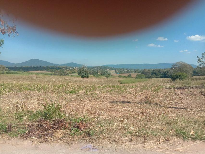 20 ไร่ ที่ดิน ด้านหลัง อำเภอ วังน้ำเขียว ขายยกแปลง 2