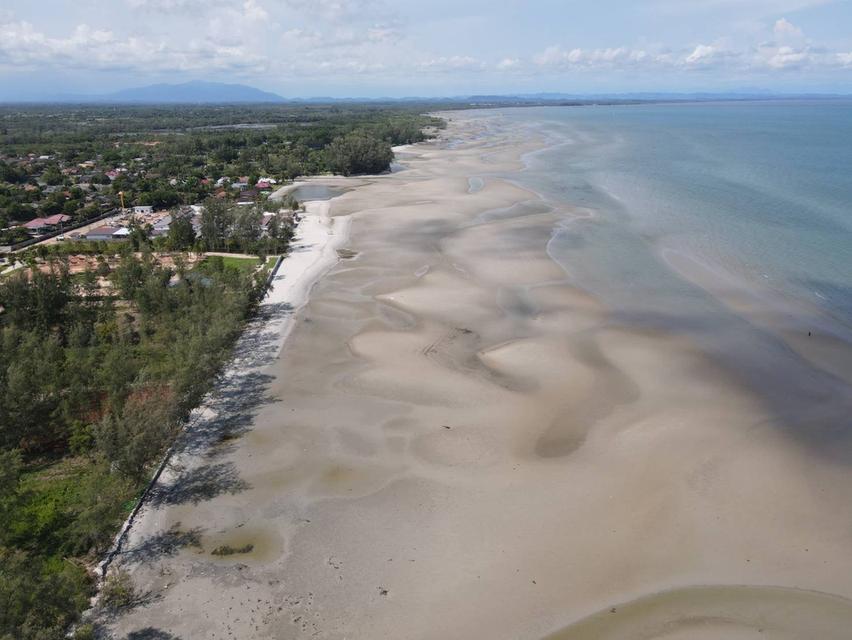 ขายที่ดินทำเลดี ติดทะเล หาดสวย จ. ระยอง 5