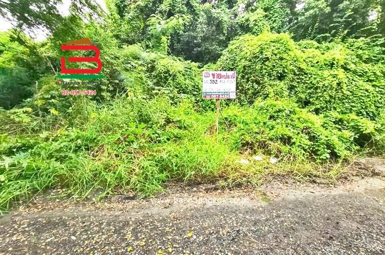 ที่ดินเปล่า ซอยบ้านพักคนชรา (ซอยร่วมสุข 4/19) เนื้อที่ 1-1-82 ไร่ ถนนติวานนท์ ตำบลบ้านใหม่ อำเภอเมืองปทุมธานี จังหวัดปทุมธานี 1