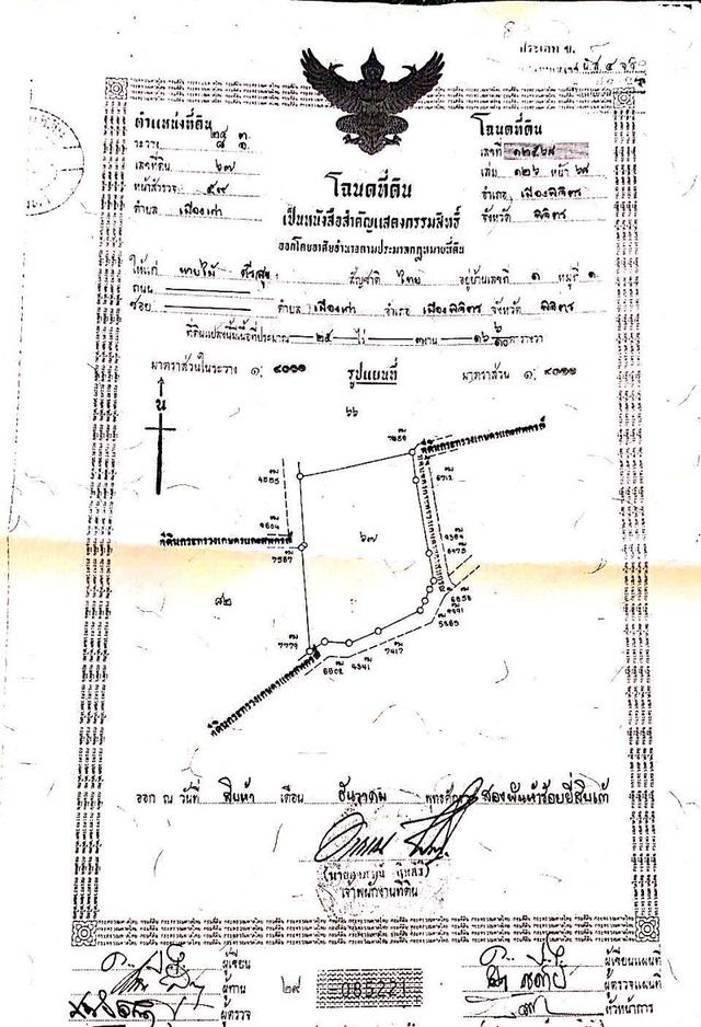 ขายที่ดิน 25 ไร่ ต.เมืองเก่า จ.พิจิตร 6