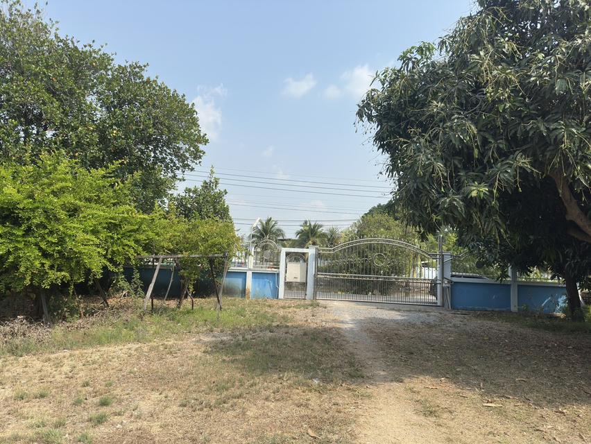ขายที่ดิน 9 ไร่ 3 งาน 11 ตรว. แปลงสวย พร้อมสิ่งปลูกสร้าง 6