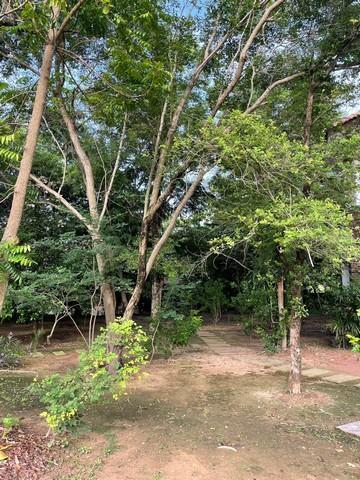 ขายที่ดินพร้อมบ้านหรูสองชั้นหลังใหญ่ ใกล้ตัวเมืองนครนายก 9