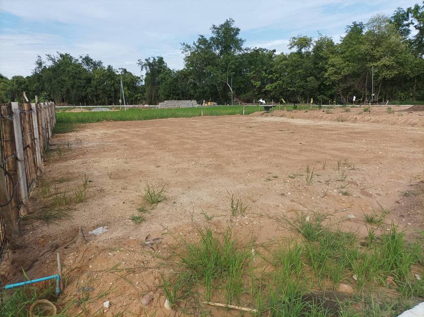 ขายที่ดินเปล่าพร้อมถม ต.สง่าบ้าน อ.ดอยสะเก็ด จ.เชียงใหม่ รูปที่ 1