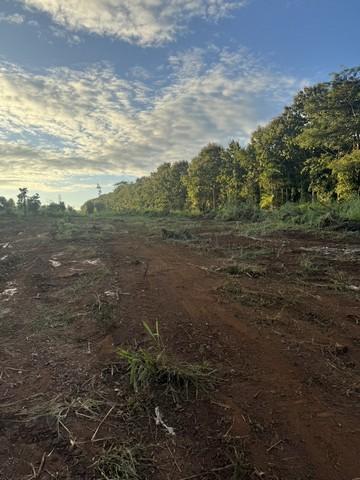 ขายที่ดินเริ่ม2-2-53.9ไร่ 2.8ลบ. หรือเหมา14ไร่กว่า ขาย 7.5ลบ. ฟรีโอน ผ่อนได้2งวด ติดถนน107 โชตนา เชียงใหม่-ฝาง ต.อินทขิล 5