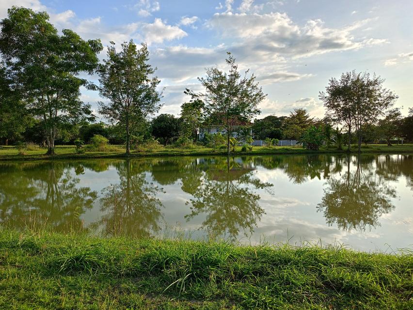 ขายที่ดิน เชียงใหม่ ติดทะเลสาบ 4