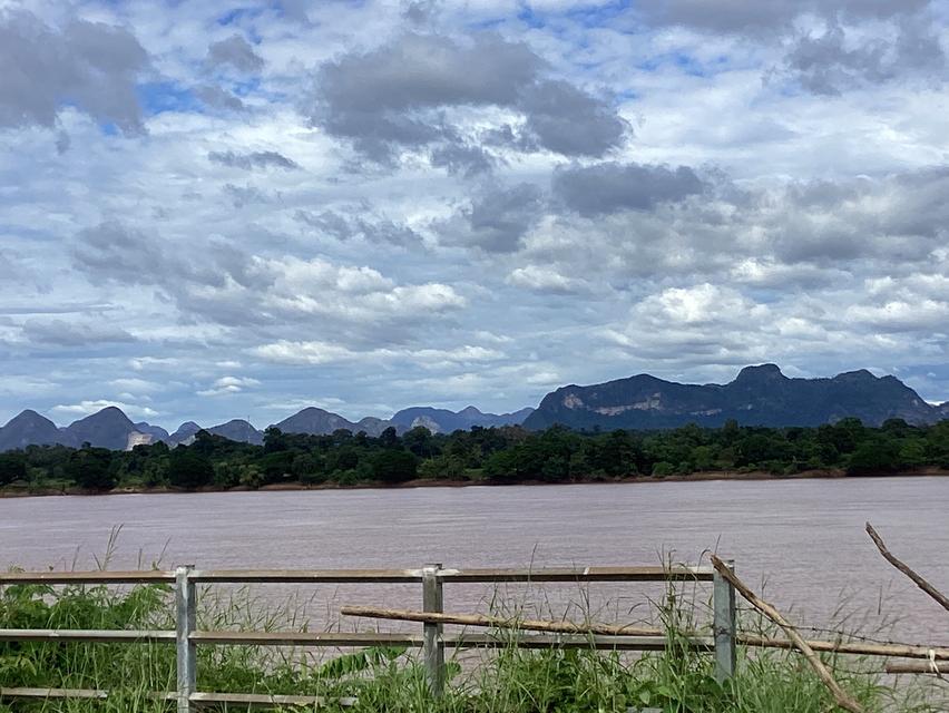 ให้เช่าที่ดืน13ไร่ใกล้สะพาน3ติดถนนเรียบโขงนครพนม 8