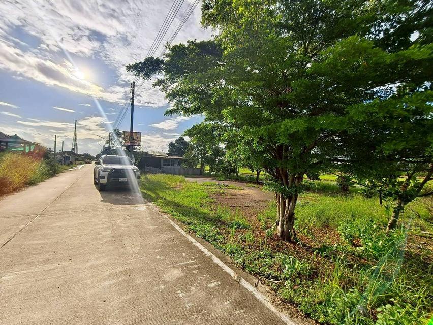 ขายด่วนที่ดิน 100 ตาว ติดถนนคอนกรีตสาธารณะ ถมแล้ว ซ.คลองสี่ตะวันตก 34/1  อ.คลองหลวง จ.ปทุมธานี 5