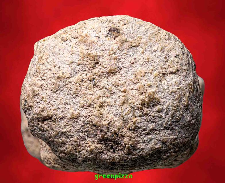 พระนาคปรกกรุนาดูน มหาสารคาม 5