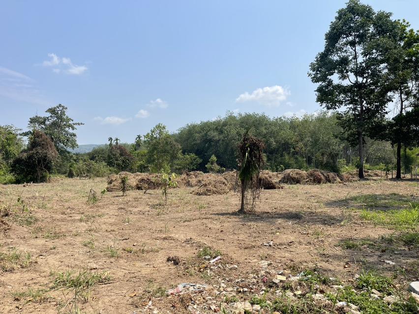 ที่ดินเหมาะกับการทำโฮมสเตร์ 2