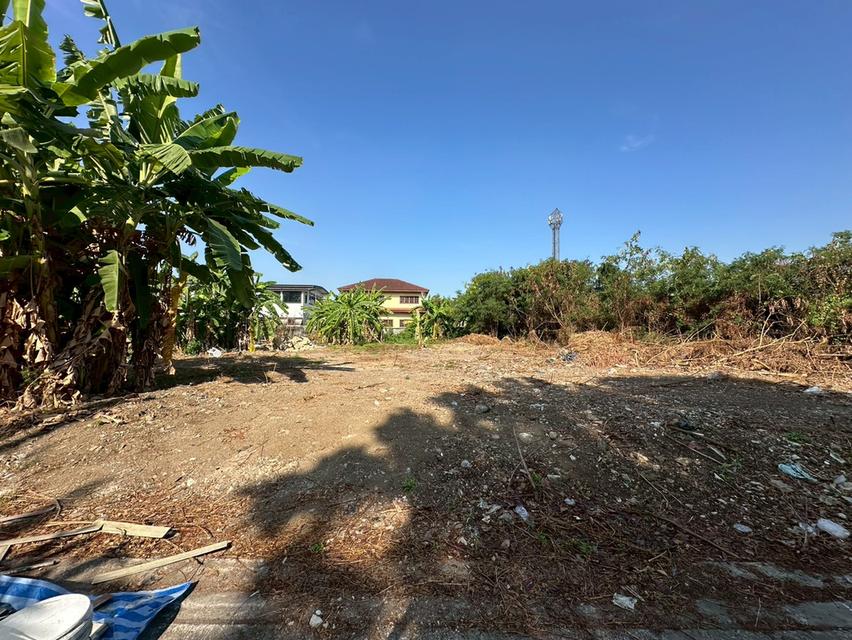 ที่ดินเปล่า 353 ตร.ว. แปลงสวย ถนนแบริ่ง - ลาชาล (ซอย แบริ่งตัดใหม่ 7) ใกล้BTS แบริ่ง 9