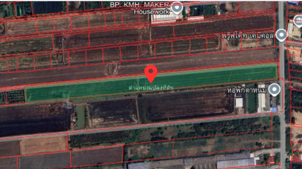 ขาย ที่ดิน ไทรน้อย 13 ไร่ 2 งาน 23 ตรว ใกล้โรงงานเบียร์ไฮเนเก้น ราคาต่ำกว่าตลาด เหมาะสำหรับลงทุน 2
