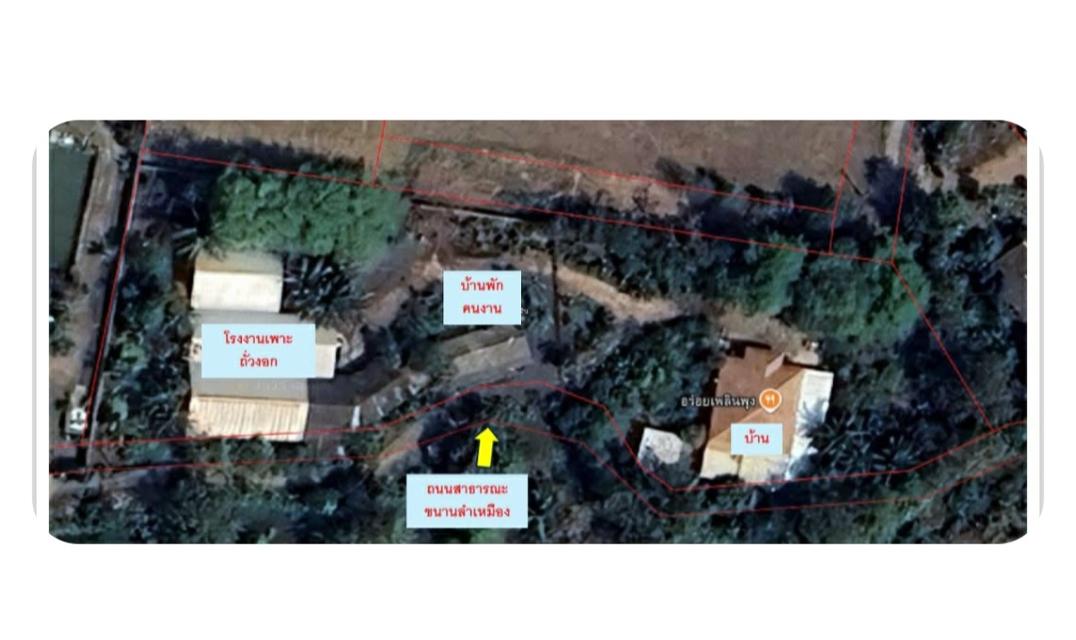 บ้านและสิ่งปลูกสร้าง 3