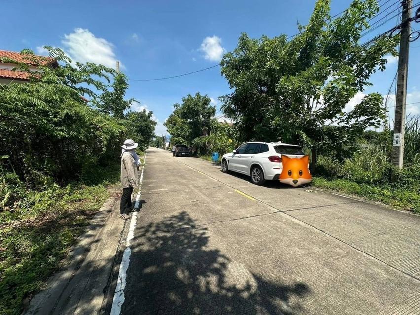 ที่ดินเปล่า 70 ตรม ใกล้มหาวิทยาลัยมหิดลศาลายา 3